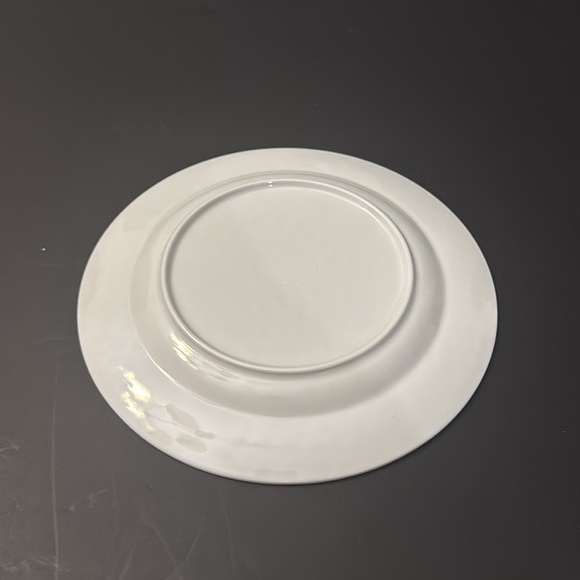 4pc SIGRID OLSEN Blue and Green Coastal Art Salad Plate Set - Melamine - Picture 4 of 6